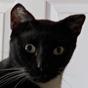 Meet your Posher, Luis